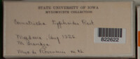Image Associated With the Occurrence